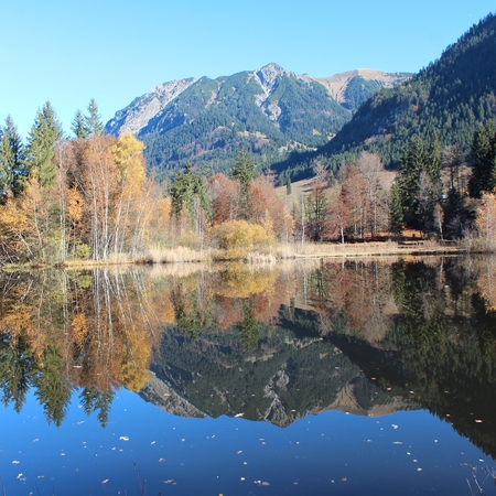 Herbst 2015 (2)